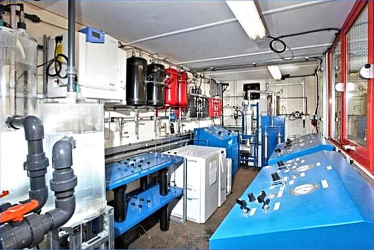 Interior plant perspective